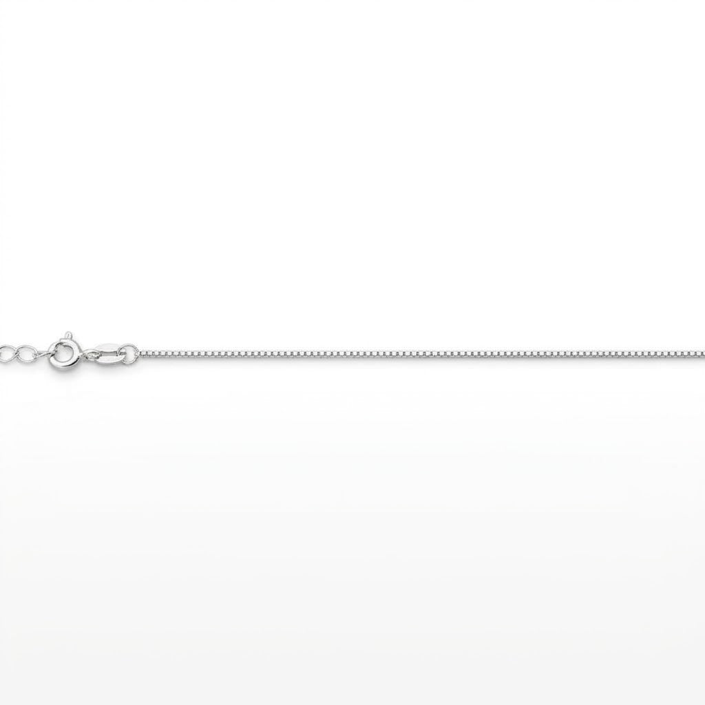 Sterling Box Anklet