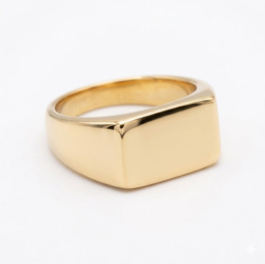 Steel Signet Ring