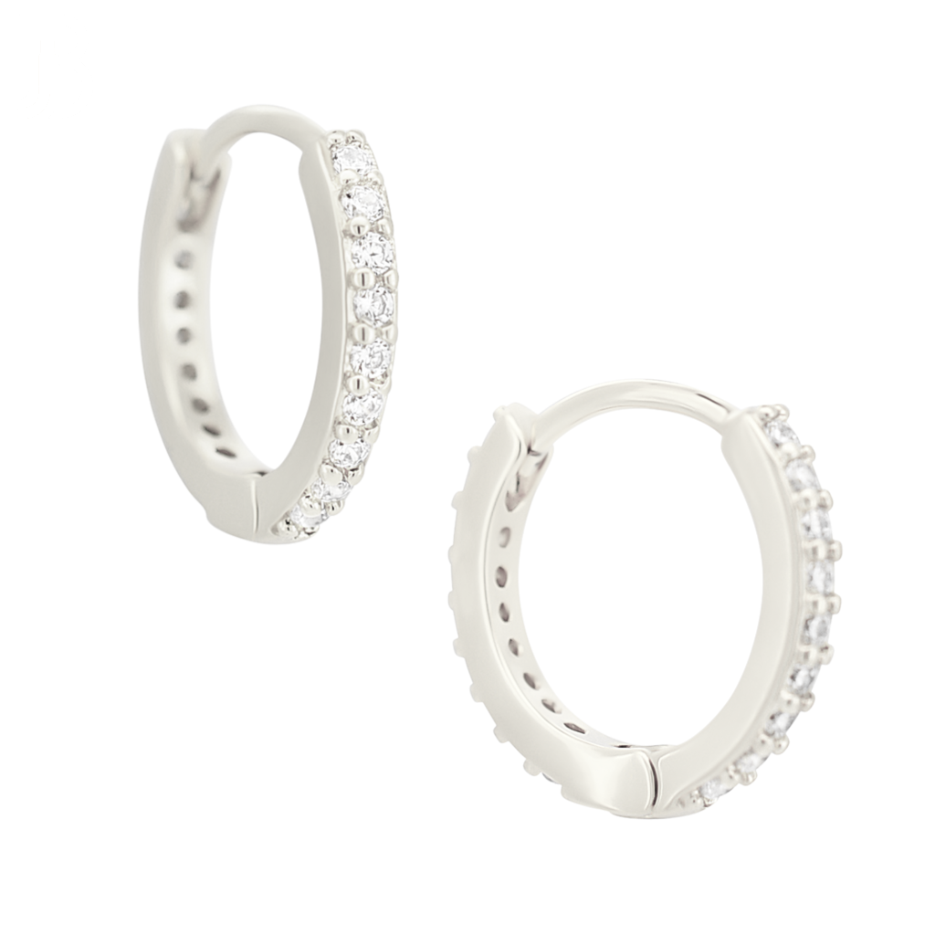 Surgical Steel Earrings
