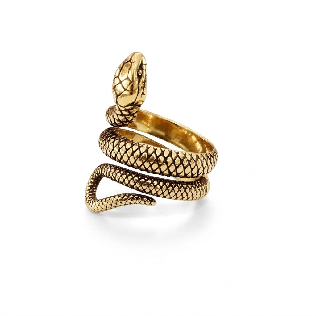 Steel Snake Ring