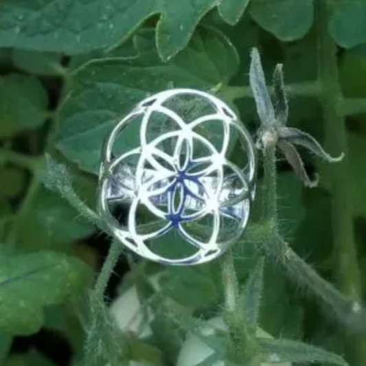 Sterling Seed of Life Ring
